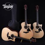 Taylor 310CE 312CE 314CE 316 CE电箱全单民谣吉他