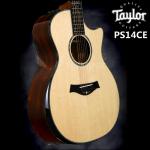 Taylor PS14CE PS16CE全单电箱民谣吉他