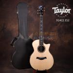 Taylor 910CE 914CE 916CE全单电箱吉他