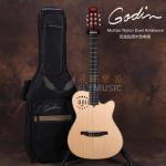 Godin Multiac Nylon Steel Duet Ambiance...